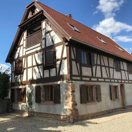 Paisible Logement Tout Equipe Pour 1 A 6 Personnes Ebersheim Bagian luar foto