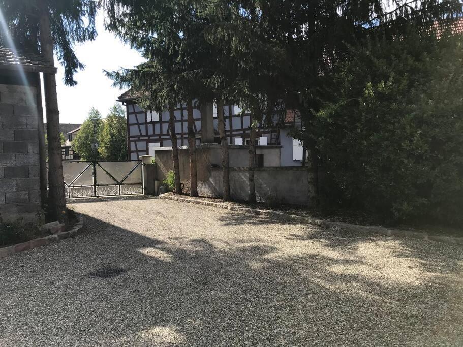 Paisible Logement Tout Equipe Pour 1 A 6 Personnes Ebersheim Bagian luar foto