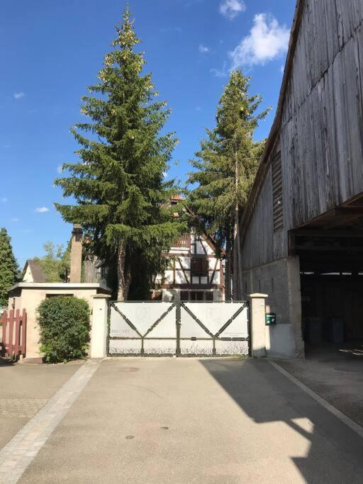 Paisible Logement Tout Equipe Pour 1 A 6 Personnes Ebersheim Bagian luar foto